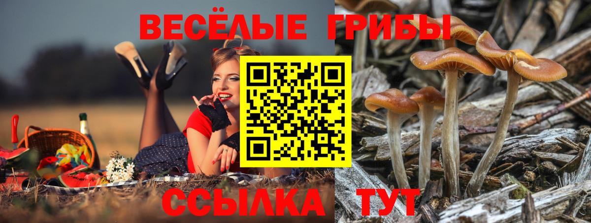 Псилоцибиновые грибы GOLDEN TEACHER Советский