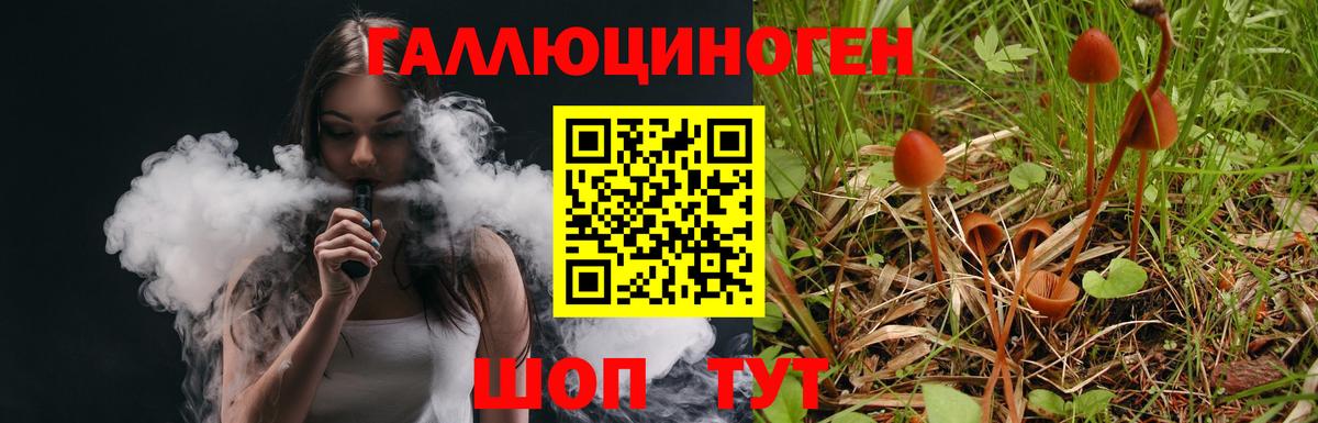 Псилоцибиновые грибы ЛСД  Вход с VPN  Советский  Псилоцибиновые грибы GOLDEN TEACHER 